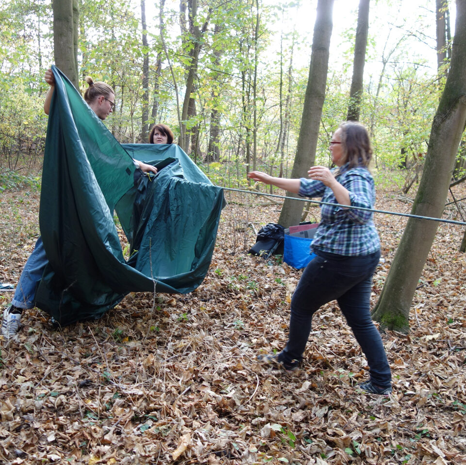 Mit Spaß im Wald bei Regen - fachgerechter Aufbau eines Tarps