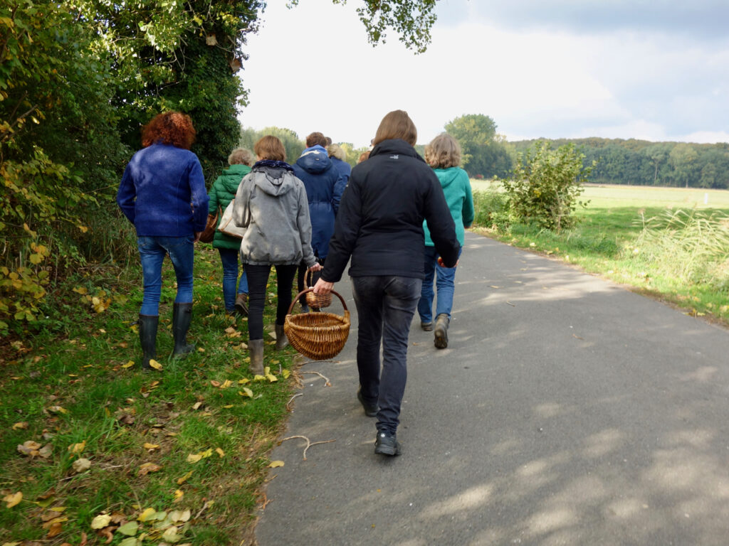 wir sammeln Pilze auf einer kleinen Wanderung