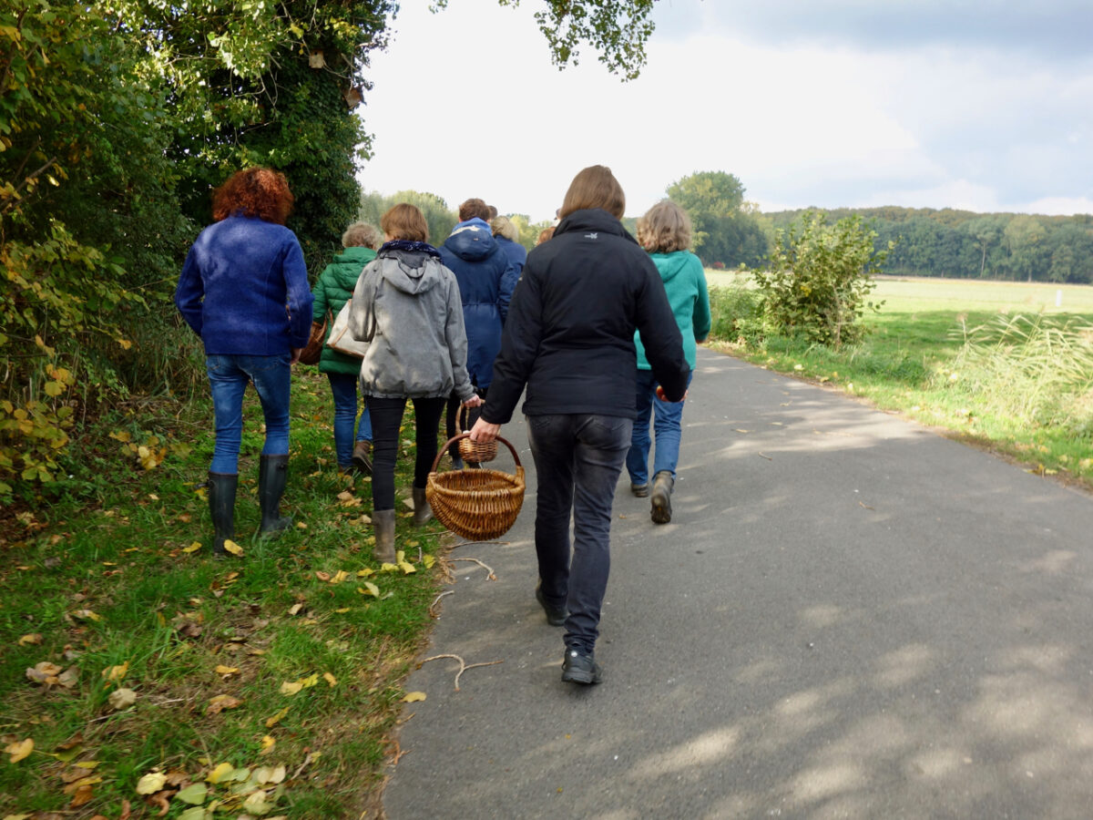 Pilzwanderung - Pilze sicher bestimmen